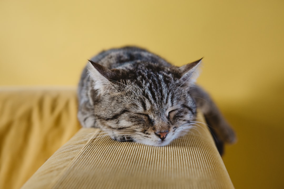 7 pași pentru un somn mai bun
